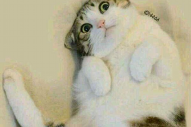 龙州讨债公司如何把握上门催款的时机